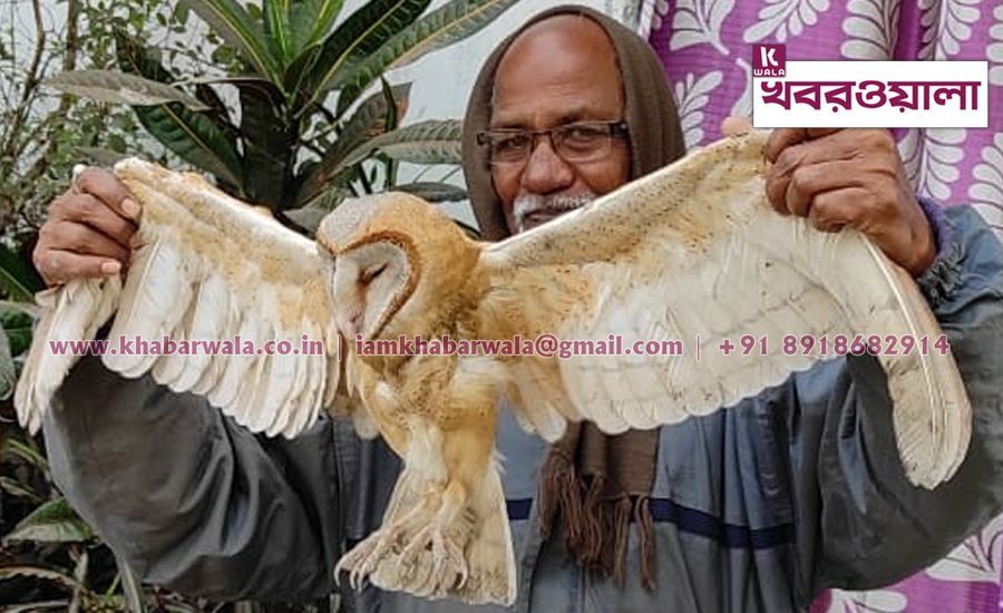 বিলুপ্ত প্রায় পেঁচা উদ্ধার করে বন দপ্তরের হাতে তুলে দিলেন পশ্চিমবঙ্গ বিজ্ঞান মঞ্চের কর্মী